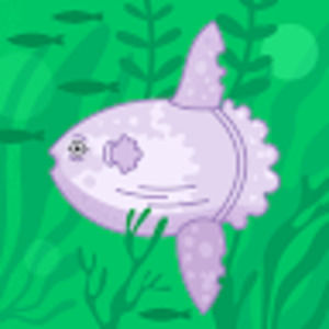 Meet your Posher, Nena